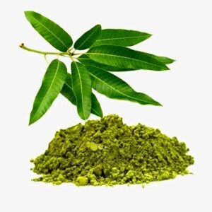 Mango leaf powder