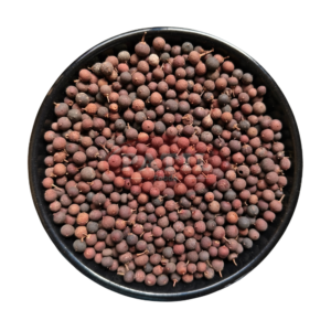 Baibadang Vaivadang – Embelia Ribes – False Black Pepper