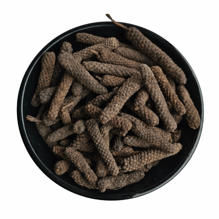 Read more about the article Pipal Badi (Pipali): The Sacred Long Pepper Revered in Ayurvedic Traditions