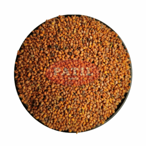 Taramira Seeds (Brassica Eruca)