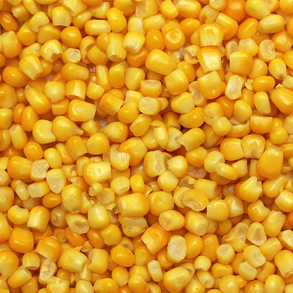 Close-up of freeze-dried sweet corn texture and purity, golden kernels, Patil Foods quality