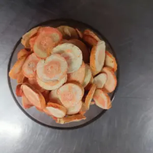 Freeze Dried Carrot Slices | Natural Ingredient