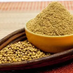 Coriander Seed Powder (Coriandrum sativum) | Dhaniya Churna