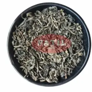 Green Tea - Camellia sinensis | Antioxidant